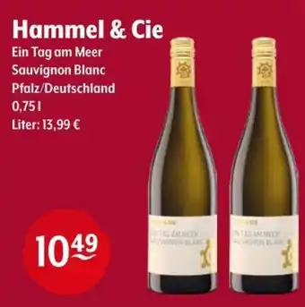 Getränke Hoffmann Hammel & Cie Angebot