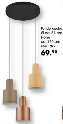 Möbel Martin Pendelleuche Angebot