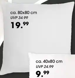 Möbel Martin Kopfkissen Nature Cotton Angebot