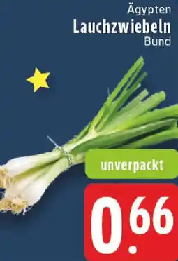 Edeka Ägypten Lauchzwiebeln Angebot