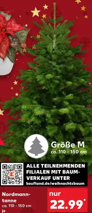 Kaufland Nordmanntanne Angebot