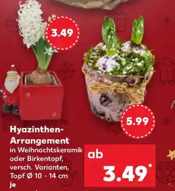 Kaufland Hyazinthen Arrangement Angebot