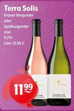 Getränke Hoffmann Terra Solis Grauer Burgunder oder Spätburgunder rosé Angebot