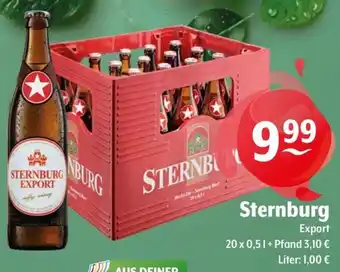 Getränke Hoffmann Sternburg Export Angebot