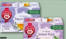 REWE Teekanne Bio Natur Kräutertee Angebot