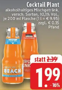 Edeka Cocktail Plant Angebot
