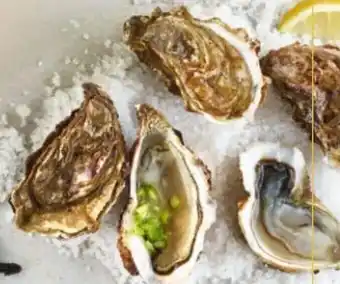 Galeria Markthalle Austern Oysri Spéciale Angebot