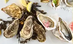 Galeria Markthalle Austern Gillardeau Spéciale Angebot