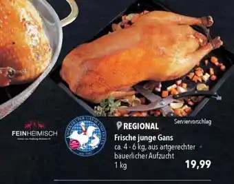 CITTI Markt Frische junge Gans Angebot