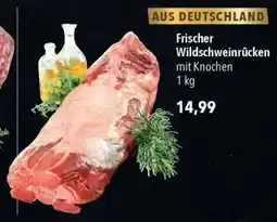 CITTI Markt Frischer Wildschweinrücken Angebot