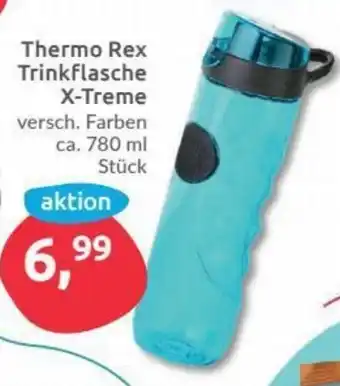 Budni Thermo Rex Trinkflasche X-Treme 780ml Angebot