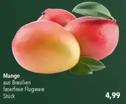 CITTI Markt Mango Angebot