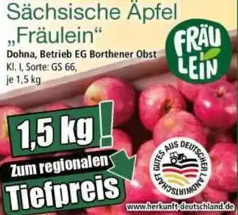 Norma Sächsische Äpfel „Fräulein" Angebot