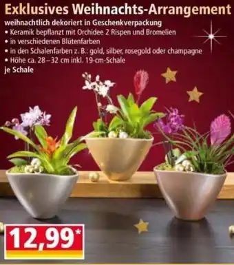 Norma Exklusives Weihnachts-Arrangement Angebot
