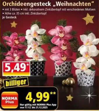 Norma Orchideengesteck ,,Weihnachten" Angebot