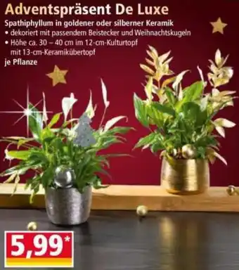 Norma Adventspräsent De Luxe Angebot