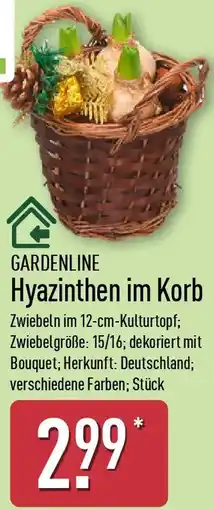 Aldi Nord GARDENLINE Hyazinthen im Korb Angebot