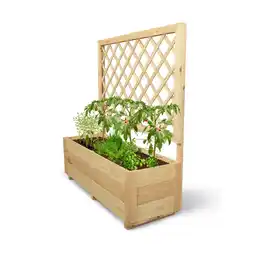 Netto Marken-Discount holz4home Pflanzkasten mit Rankgitter M M Angebot