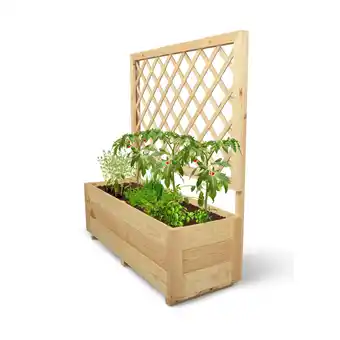 Netto Marken-Discount holz4home Pflanzkasten mit Rankgitter M M Angebot