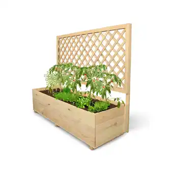 Netto Marken-Discount holz4home Pflanzkasten mit Rankgitter XL XL Angebot