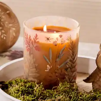 NKD Duftkerze im Glas Honeyfruit & Apple, ca. 10x9,4x12cm Angebot