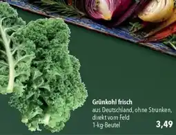 CITTI Markt Grünkohl frisch Angebot