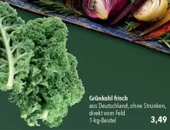 CITTI Markt Grünkohl frisch Angebot