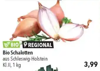 CITTI Markt Bio Schalotten Angebot