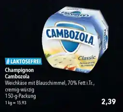CITTI Markt Champignon Cambozola Angebot