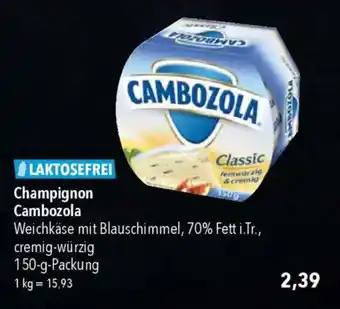 CITTI Markt Champignon Cambozola Angebot