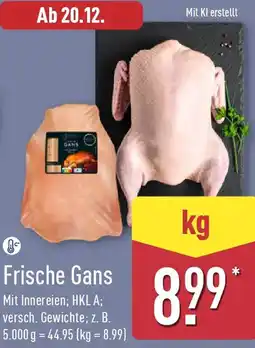 Aldi Nord Frische Gans Angebot