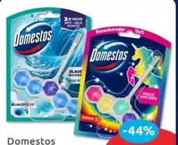 Budni Domestos WC Steine Power 5 Angebot