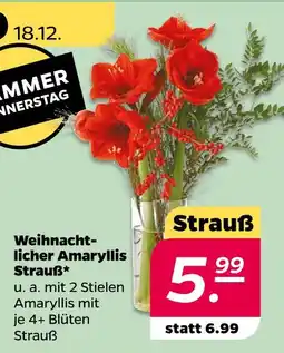 NETTO Weihnachtlicher amaryllis strauß Angebot