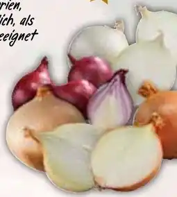 HIT Frankreich/Italien/Niederlande/Peru Zwiebelspezialitäten Angebot