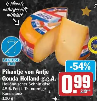 HIT Pikantje von Antje Gouda Holland g.g.A. Angebot