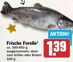 HIT Frische Forelle Angebot