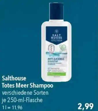 CITTI Markt Salthouse Totes Meer Shampoo Angebot