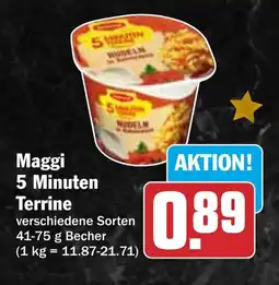 HIT 1 5 Minuten Terrine Angebot