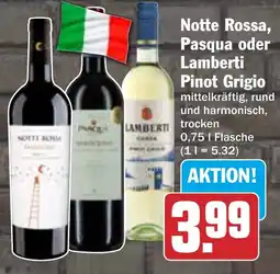 HIT Notte Rossa, Pasqua oder Lamberti Pinot Grigio Angebot