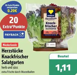 Aktiv Irma Herzstücke Knackfrischer Salatgarten Angebot