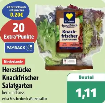 Aktiv Irma Herzstücke Knackfrischer Salatgarten Angebot
