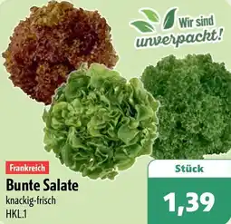 Aktiv Irma Frankreich Bunte Salate Angebot