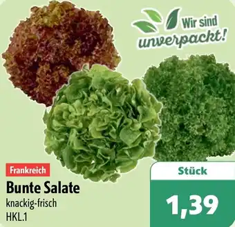 Aktiv Irma Frankreich Bunte Salate Angebot