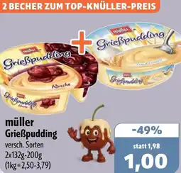 Aktiv Irma müller Grieẞpudding Angebot