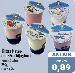 Aktiv Irma Diers Natur- oder Fruchtjoghurt Angebot