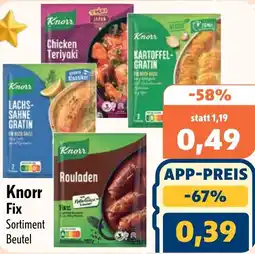 Aktiv Irma Knorr Fix Angebot