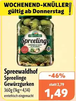 Aktiv Irma Spreewaldhof Spreelinge Gewürzgurken Angebot