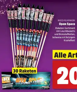 Thomas Philipps WECO FEUERWERK Open Space Angebot