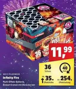 Thomas Philipps WECO FEUERWERK Infinity Fire Angebot