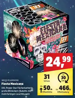 Thomas Philipps WECO FEUERWERK Fiesta Mexicana Angebot